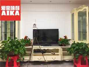 11月19日天鵝堡甲醛檢測案例