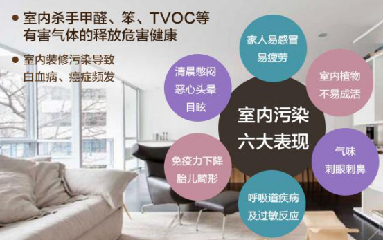 室內污染六大表現-冰蟲